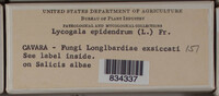Image Associated With the Occurence